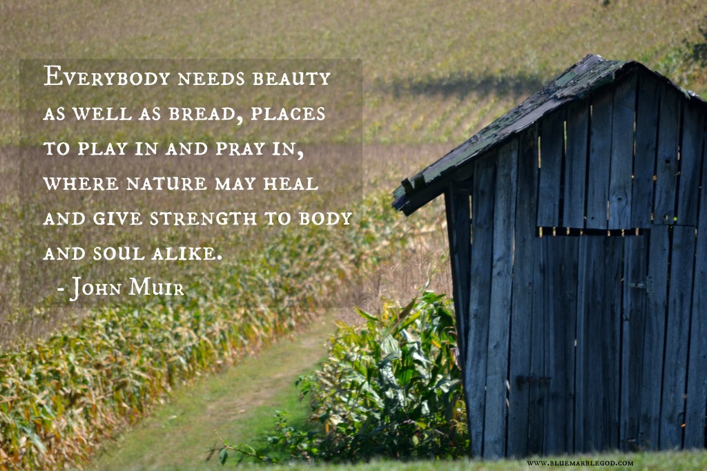 Muir quote 1
